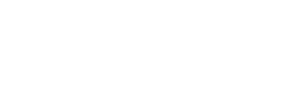 NoN-Logo-white-3
