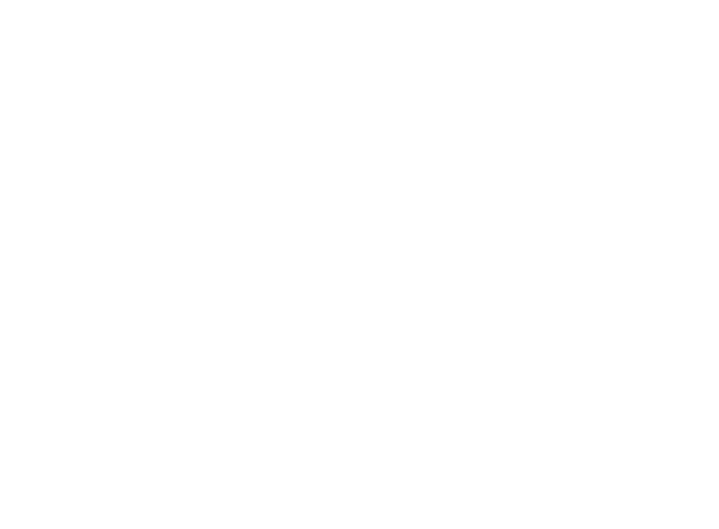 solid gold logo